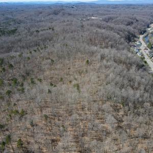 Photo #18 of SOLD property in Off Blackberry Rd, Bassett, VA 115.4 acres