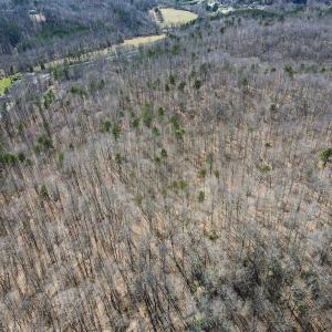 Photo #19 of SOLD property in Off Blackberry Rd, Bassett, VA 115.4 acres