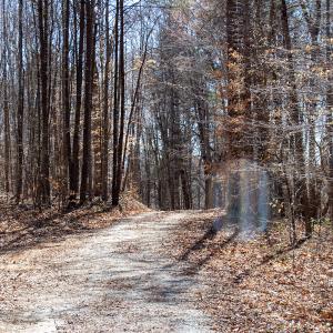 Photo #20 of SOLD property in Off Blackberry Rd, Bassett, VA 115.4 acres