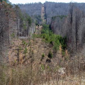Photo #5 of SOLD property in Off Blackberry Rd, Bassett, VA 115.4 acres