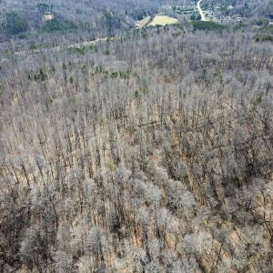 Photo #6 of SOLD property in Off Blackberry Rd, Bassett, VA 115.4 acres