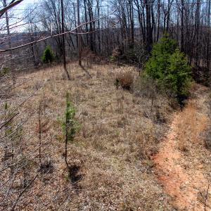 Photo #8 of SOLD property in Off Blackberry Rd, Bassett, VA 115.4 acres