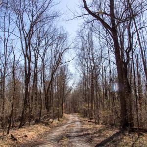 Photo #21 of SOLD property in Off Blackberry Rd, Bassett, VA 115.4 acres