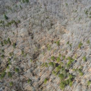 Photo #22 of SOLD property in Off Blackberry Rd, Bassett, VA 115.4 acres
