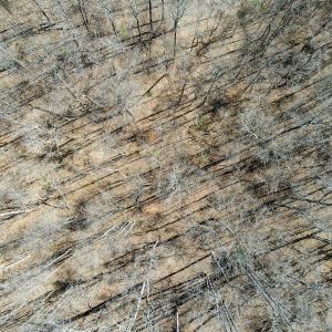Photo #24 of SOLD property in Off Blackberry Rd, Bassett, VA 115.4 acres