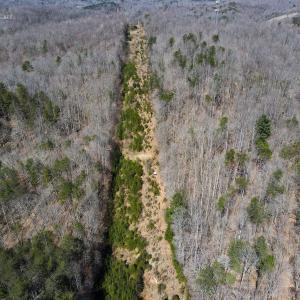 Photo #26 of SOLD property in Off Blackberry Rd, Bassett, VA 115.4 acres