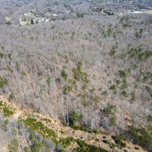Photo #27 of SOLD property in Off Blackberry Rd, Bassett, VA 115.4 acres