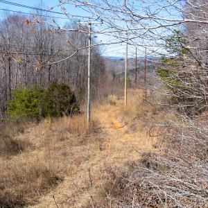Photo #28 of SOLD property in Off Blackberry Rd, Bassett, VA 115.4 acres
