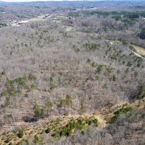 Photo #29 of SOLD property in Off Blackberry Rd, Bassett, VA 115.4 acres