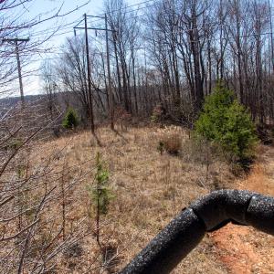 Photo #30 of SOLD property in Off Blackberry Rd, Bassett, VA 115.4 acres