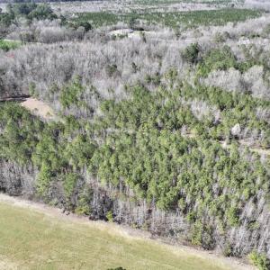 Photo #14 of SOLD property in Off Roxobel Road, Rich Square, NC 13.6 acres