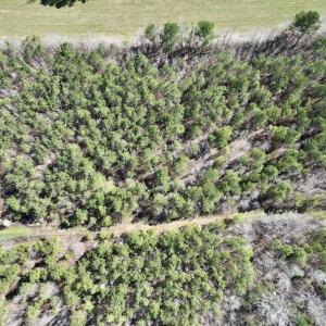 Photo #17 of SOLD property in Off Roxobel Road, Rich Square, NC 13.6 acres