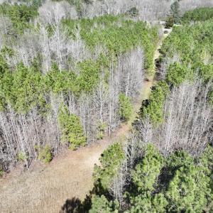 Photo #19 of SOLD property in Off Roxobel Road, Rich Square, NC 13.6 acres