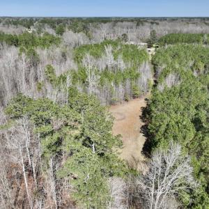Photo #21 of SOLD property in Off Roxobel Road, Rich Square, NC 13.6 acres