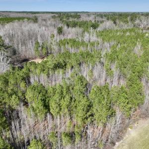 Photo #22 of SOLD property in Off Roxobel Road, Rich Square, NC 13.6 acres