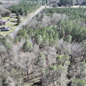 Photo #25 of Off Roxobel Road, Rich Square, NC 13.6 acres