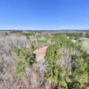 Photo #31 of SOLD property in Off Roxobel Road, Rich Square, NC 13.6 acres