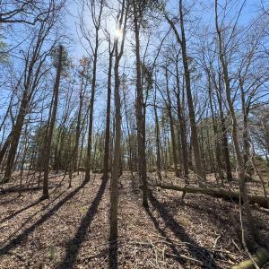 Photo #41 of SOLD property in 121 Old Durham Road , Roxboro, NC 3.6 acres