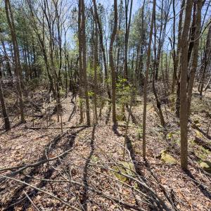 Photo #59 of SOLD property in 121 Old Durham Road , Roxboro, NC 3.6 acres