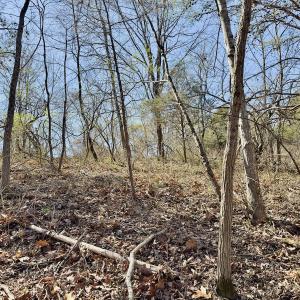 Photo #12 of 1620 Tower Road, Christiansburg, VA 1.0 acres