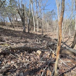 Photo #16 of 1620 Tower Road, Christiansburg, VA 1.0 acres