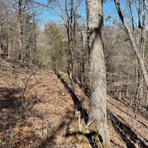Photo #17 of 1620 Tower Road, Christiansburg, VA 1.0 acres
