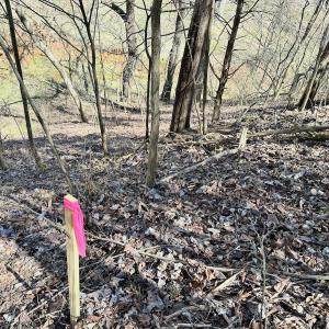 Photo #20 of 1620 Tower Road, Christiansburg, VA 1.0 acres