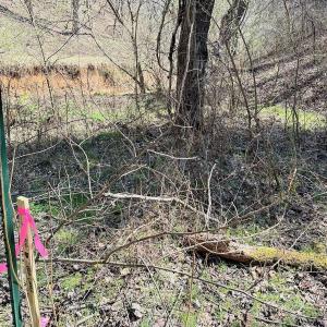 Photo #21 of 1620 Tower Road, Christiansburg, VA 1.0 acres