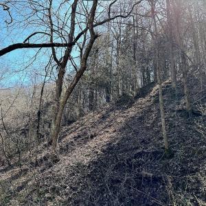 Photo #22 of 1620 Tower Road, Christiansburg, VA 1.0 acres