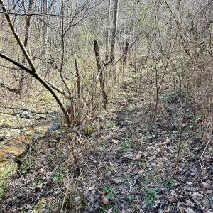 Photo #23 of 1620 Tower Road, Christiansburg, VA 1.0 acres