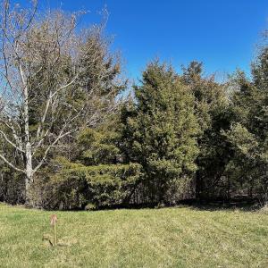 Photo #4 of 1620 Tower Road, Christiansburg, VA 1.0 acres