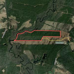 Photo #1 of SOLD property in Off Ivanhoe Road, Ivanhoe, NC 137.2 acres