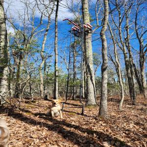Photo #14 of SOLD property in 1308 Spruce St, Monterey, VA 30.3 acres