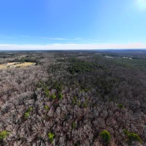 Photo #2 of 1296 Moriah Rd, Rougemont, NC 71.8 acres