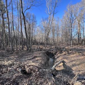 Photo #11 of SOLD property in 1296 Moriah Rd, Rougemont, NC 71.8 acres
