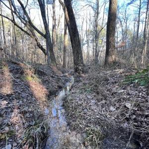 Photo #13 of SOLD property in 1296 Moriah Rd, Rougemont, NC 71.8 acres
