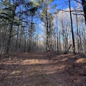Photo #14 of 1296 Moriah Rd, Rougemont, NC 71.8 acres