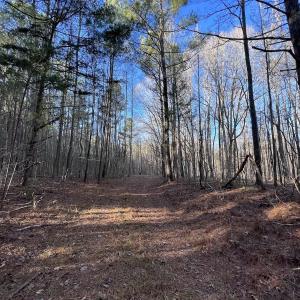 Photo #14 of SOLD property in 1296 Moriah Rd, Rougemont, NC 71.8 acres