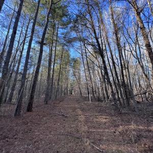 Photo #19 of SOLD property in 1296 Moriah Rd, Rougemont, NC 71.8 acres