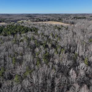 Photo #20 of SOLD property in 1296 Moriah Rd, Rougemont, NC 71.8 acres