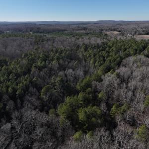Photo #3 of 1296 Moriah Rd, Rougemont, NC 71.8 acres