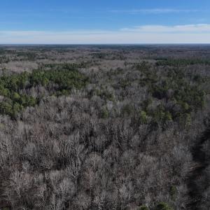 Photo #4 of SOLD property in 1296 Moriah Rd, Rougemont, NC 71.8 acres