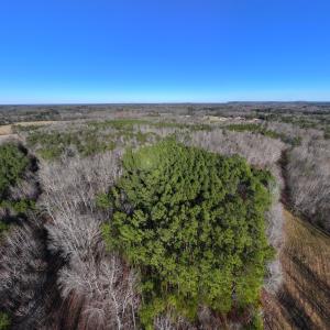 Photo #6 of SOLD property in 1296 Moriah Rd, Rougemont, NC 71.8 acres