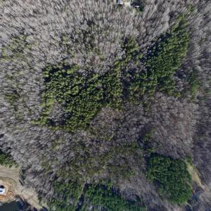 Photo #7 of 1296 Moriah Rd, Rougemont, NC 71.8 acres