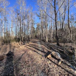 Photo #8 of SOLD property in 1296 Moriah Rd, Rougemont, NC 71.8 acres