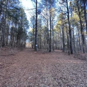 Photo #24 of SOLD property in 1296 Moriah Rd, Rougemont, NC 71.8 acres