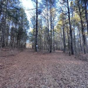 Photo #24 of 1296 Moriah Rd, Rougemont, NC 71.8 acres