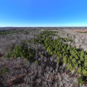 Photo #25 of SOLD property in 1296 Moriah Rd, Rougemont, NC 71.8 acres