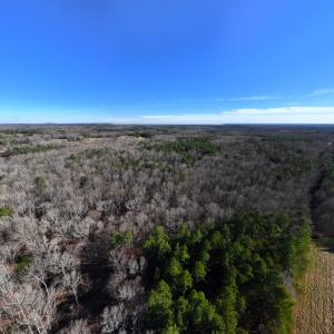 Photo #26 of SOLD property in 1296 Moriah Rd, Rougemont, NC 71.8 acres