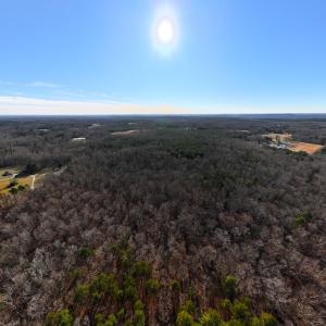Photo #27 of SOLD property in 1296 Moriah Rd, Rougemont, NC 71.8 acres